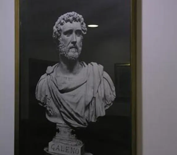 Отель Galeno